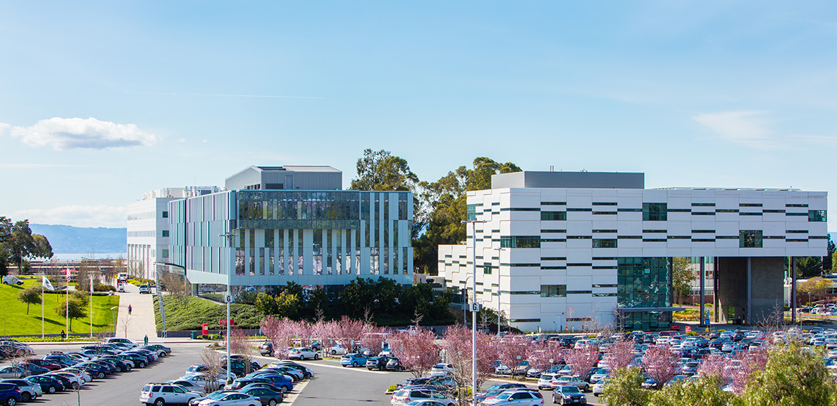 Campus buildings with trees blossoming