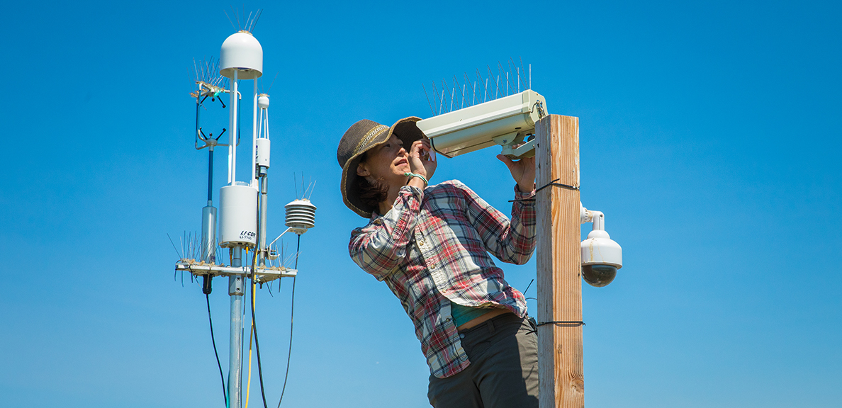 Patty Oikawa working at her research station