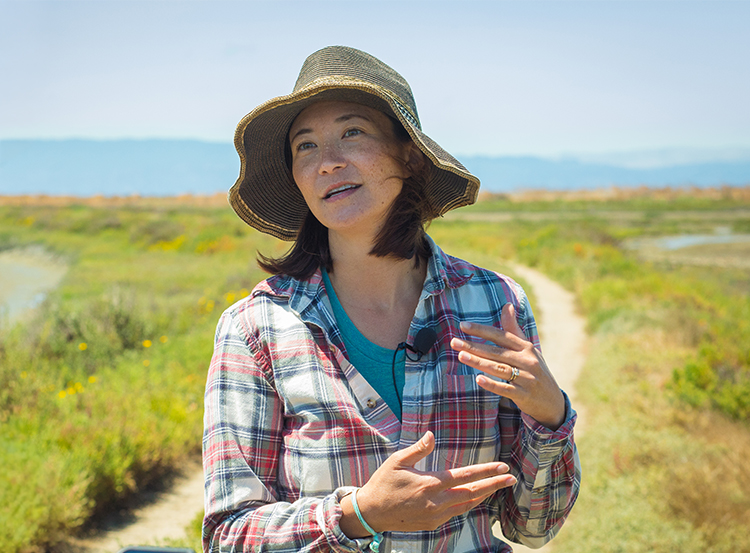 East Bay Professor Tackles Climate Change in Google-Backed Project 