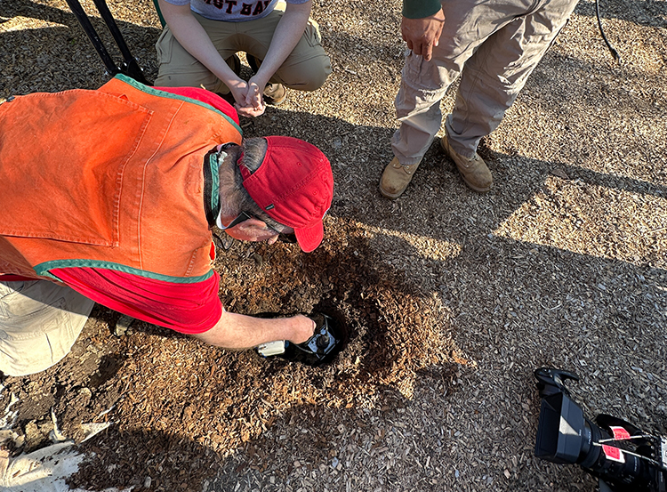Professor Strayer inserting an earthquake sensor device into the ground in San Ramon