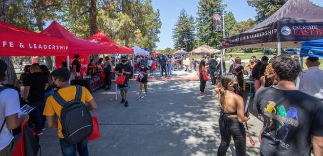 Students at an outdoor activity fair