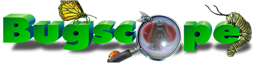 Bugscope logo