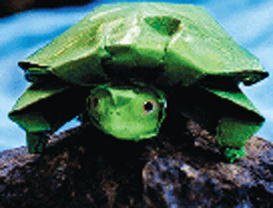 green paper turtle
