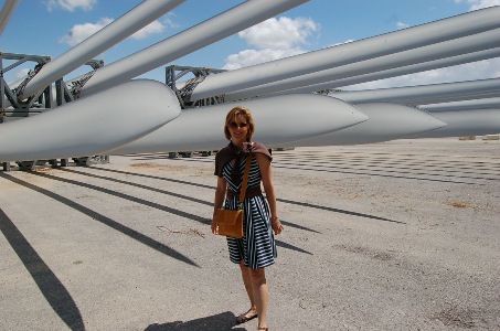 During an international travel-research project, MBA for Global Innovators student Michele LaCagnina visited a wind turbine blades production company in Izmir, Turkey. 