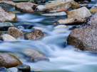 Thumbnail for the headline CSUEB lecturer lends a voice to Bay Area creek