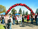 Thumbnail for the headline 'al Fresco' welcomes students, faculty, staff back to campus