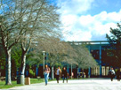 Thumbnail for the headline This Month at CSUEB