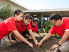 Thumbnail for the headline Day of service at Harder Elementary draws hundreds of volunteers