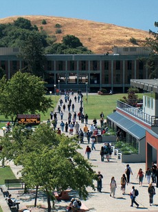 campus view along bookstore walkway