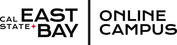 Students studying and connecting online