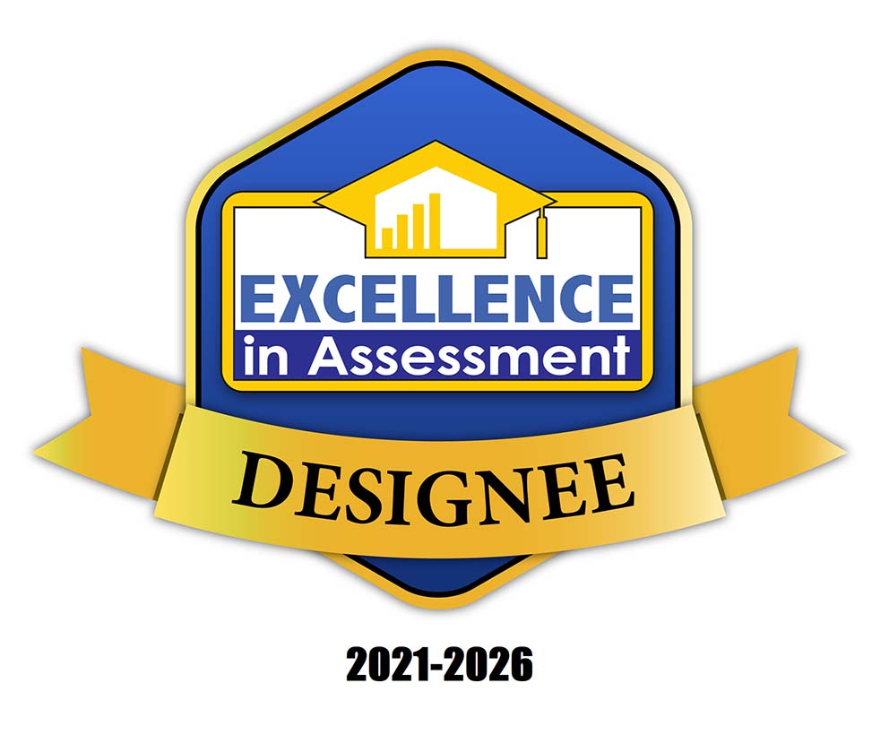 Excellence in Assessment Award