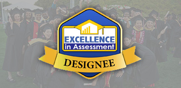 Excellence in Assessment Award