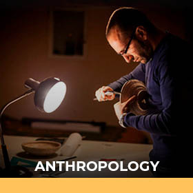 Anthropology