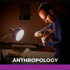 Anthropology