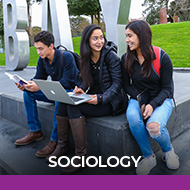 Sociology