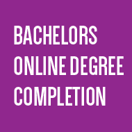 BACHELORS ONLINE DEGREE ICON