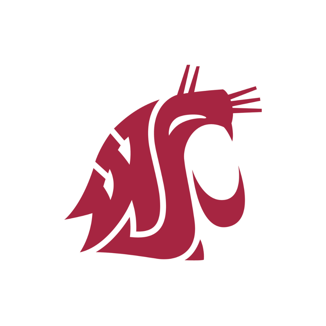 WSU Diversity Scholars