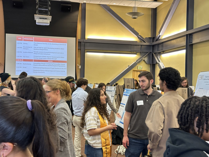 Student showcase