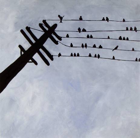 birds sitting on telephone wires