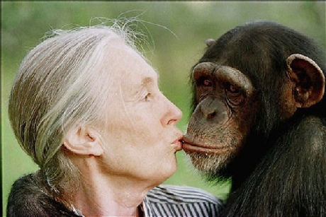 jane goodall and tess