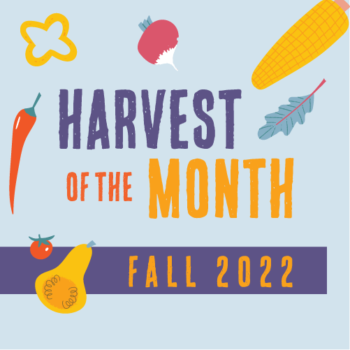 harvest of the month
