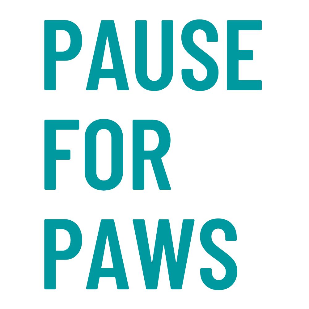 pause for paws