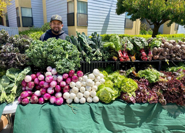 farmers market produce