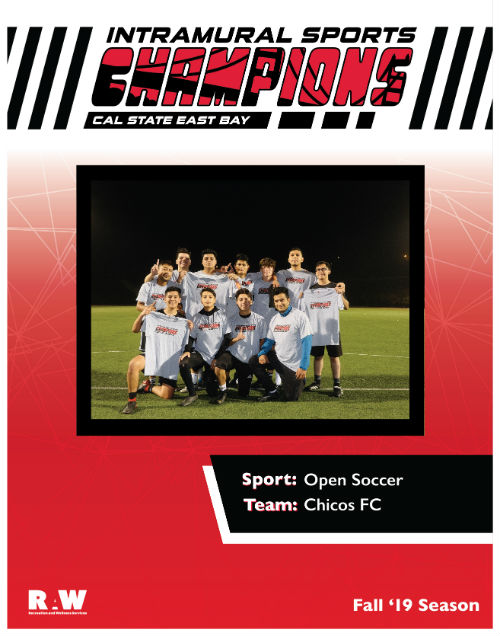 Fall 2019 Open Soccer Champs Chicos FC