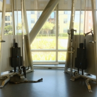 Adjustable Cable Machines