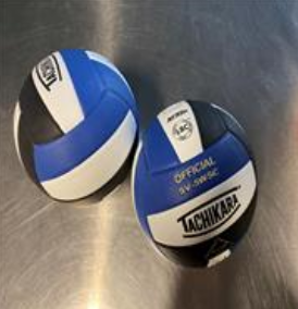 Indoor and Outdoor Volleyballs