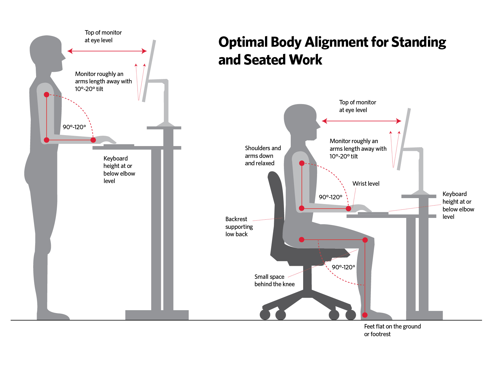 Computer Ergonomics Diagram