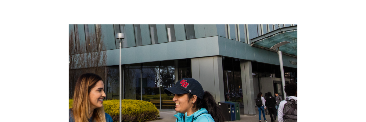 Compliance & Internal Control Banner