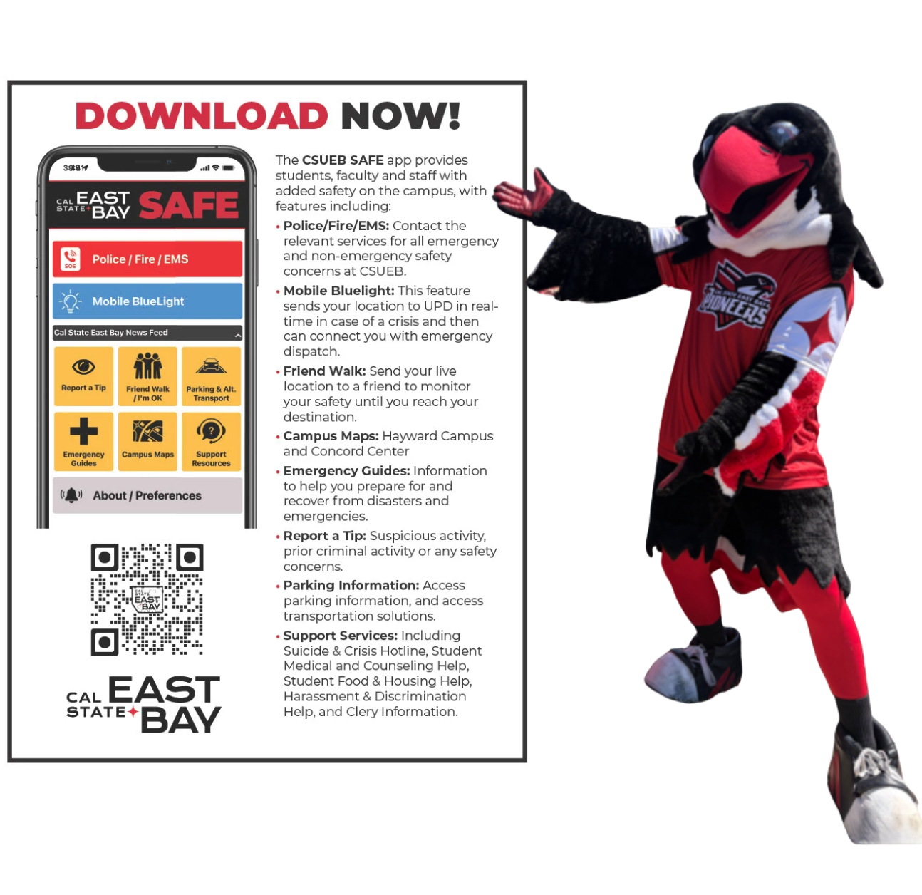 Safe App Flyer