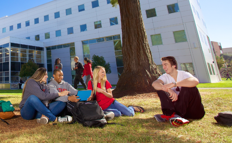 Youth Protection Programs