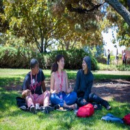 Picture of students on the lawn