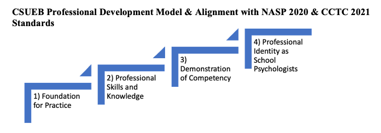 professional development model