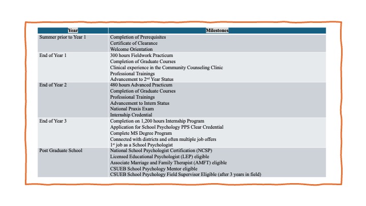 program milestones