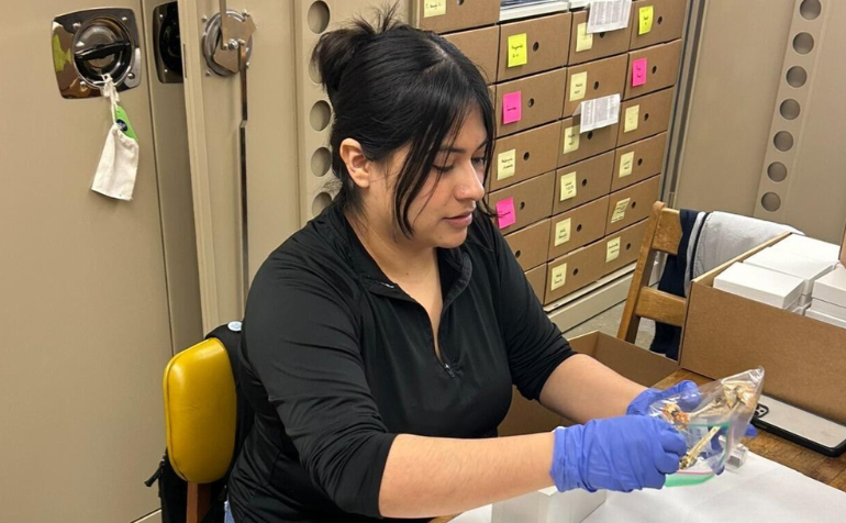 Photo of one of our leaders working on mushroom identification