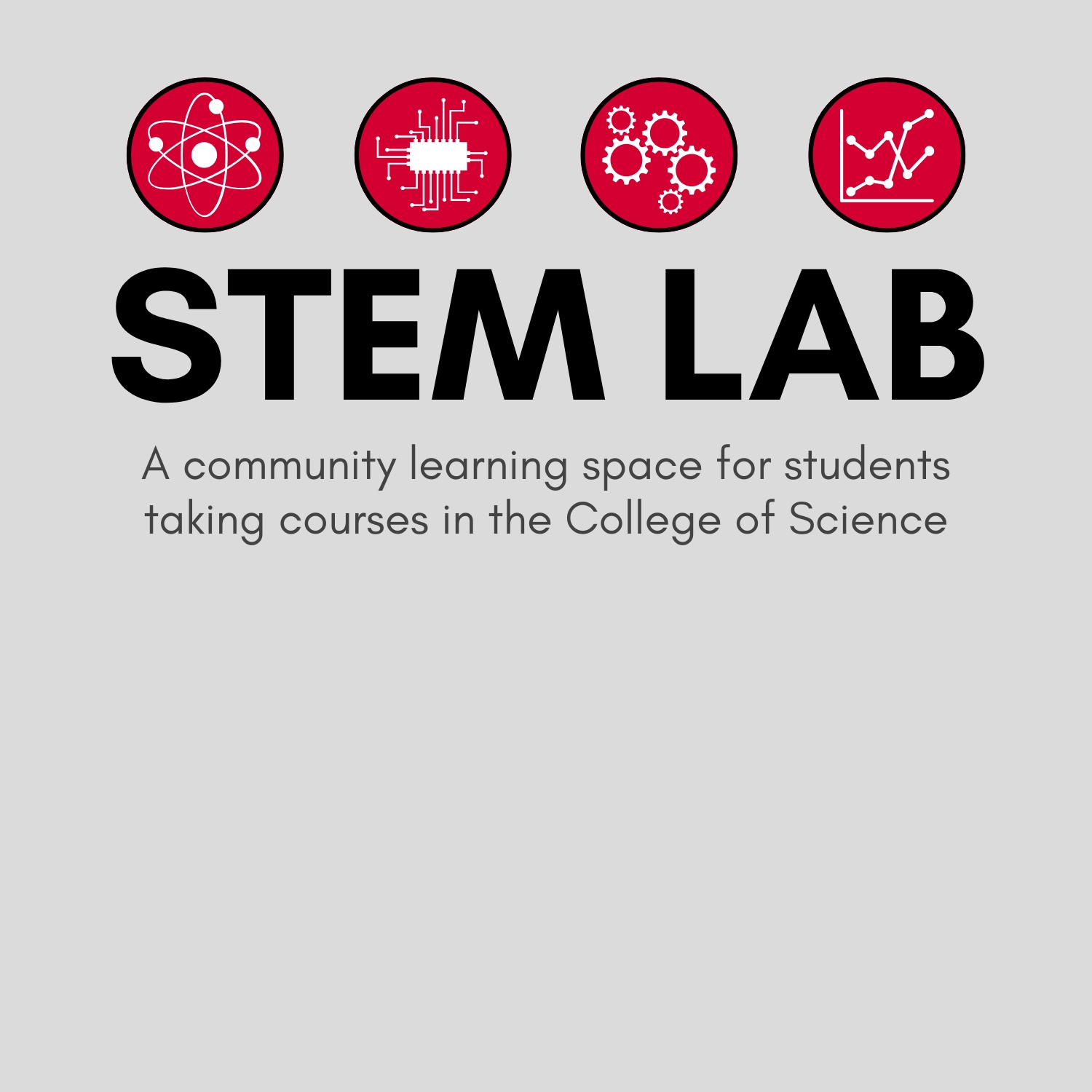 stem lab 2024-2025 Annual Report