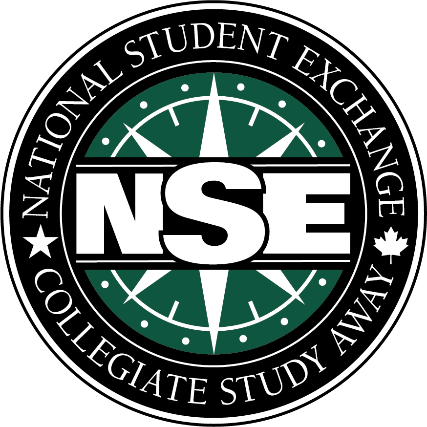 new-nse-logo.jpg