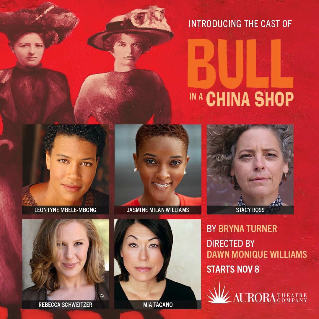 bull-in-a-china-shop