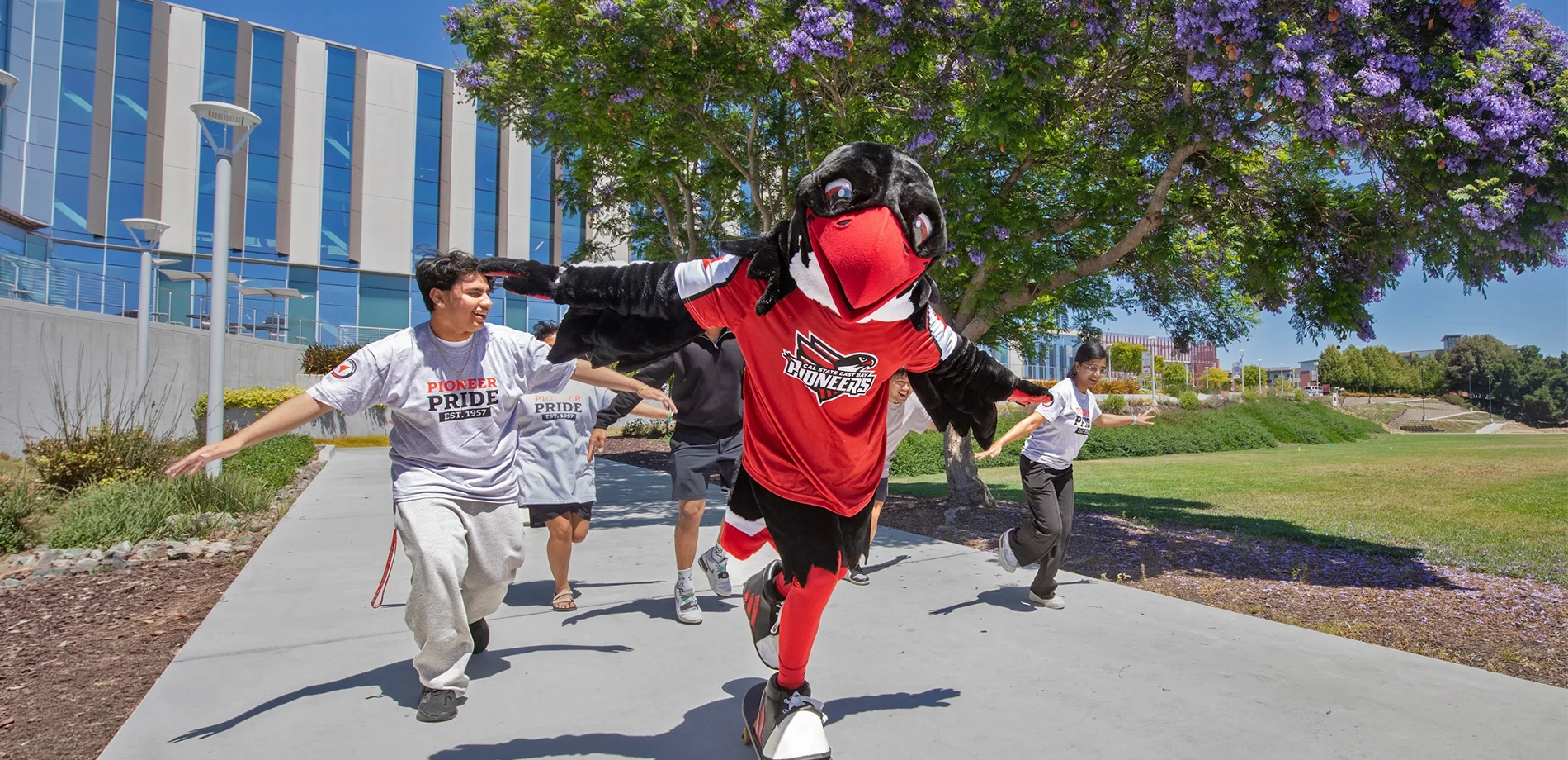 Perry the Peregrine Falcon soaring on a skateboard alongside Pioneers