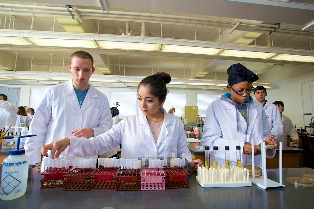 A group of science students work on a lab