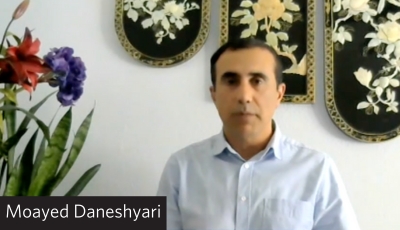 Moayed Daneshyari