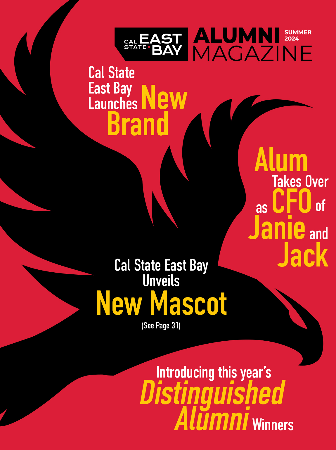 Summer 2024 magazine cover featuring a falcon silhouette