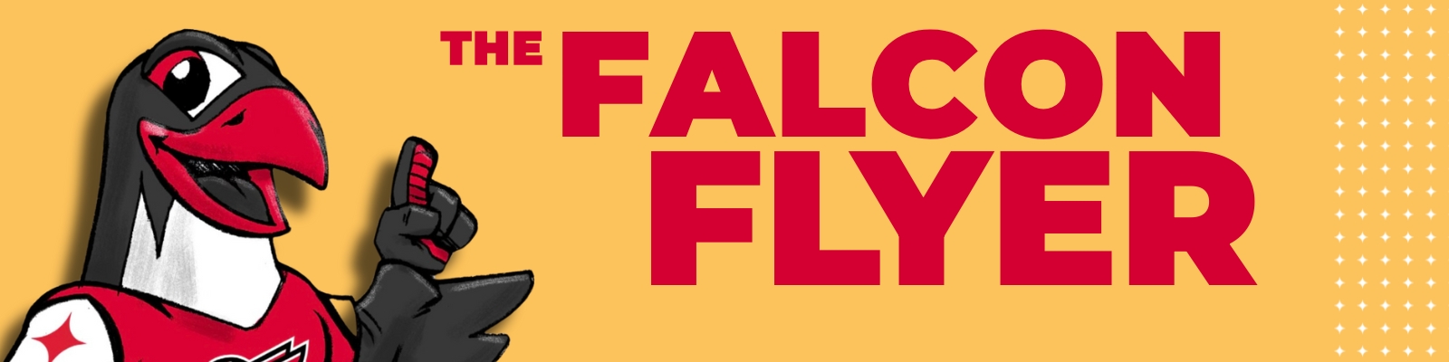 FALCON FLYER