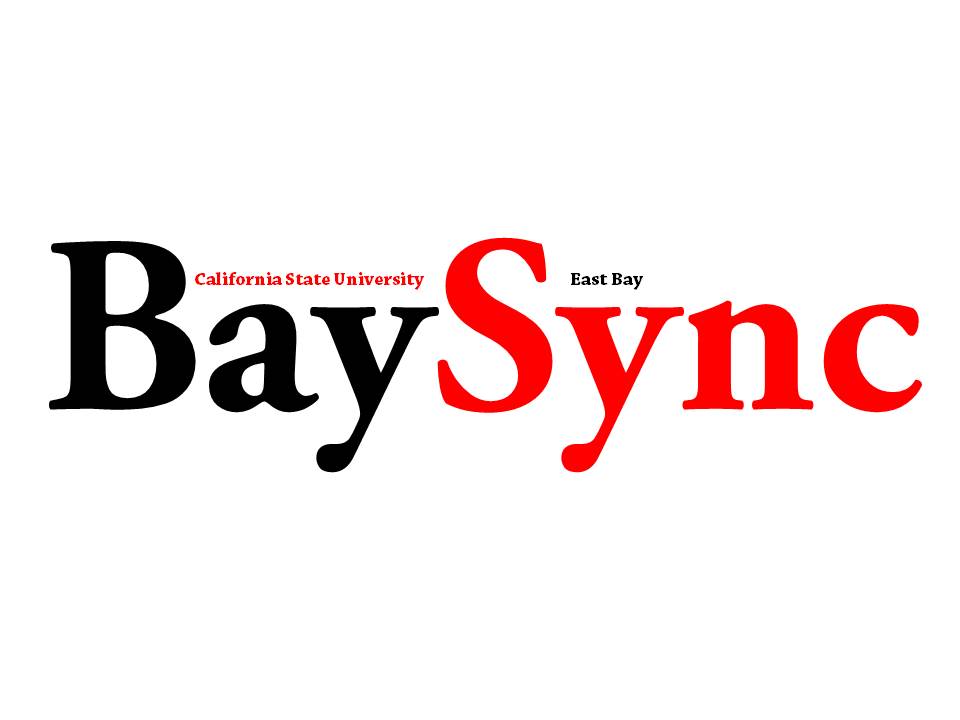 BaySync logo