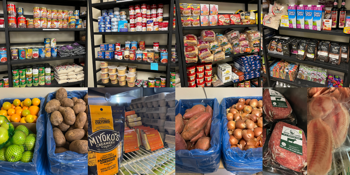 Food on the pantry shelves